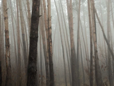 Тело пропавшего мужчины нашли недалеко от дома