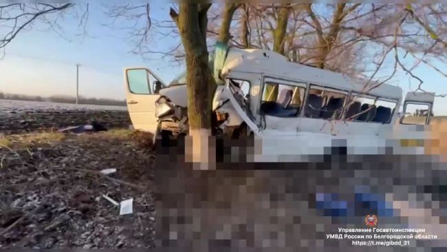 Столкновение автобуса и грузовика под Белгородом: двое погибших, шестеро в больнице