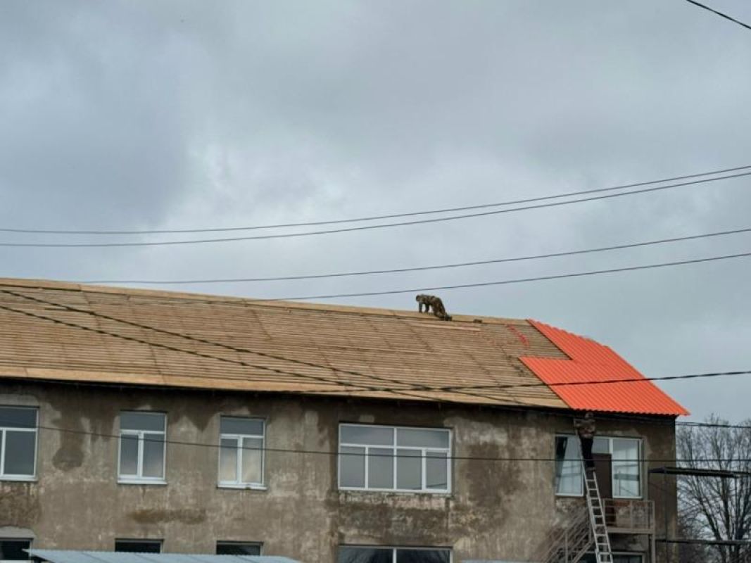 Для ремонта детсада в Рассказово нашли нового подрядчика