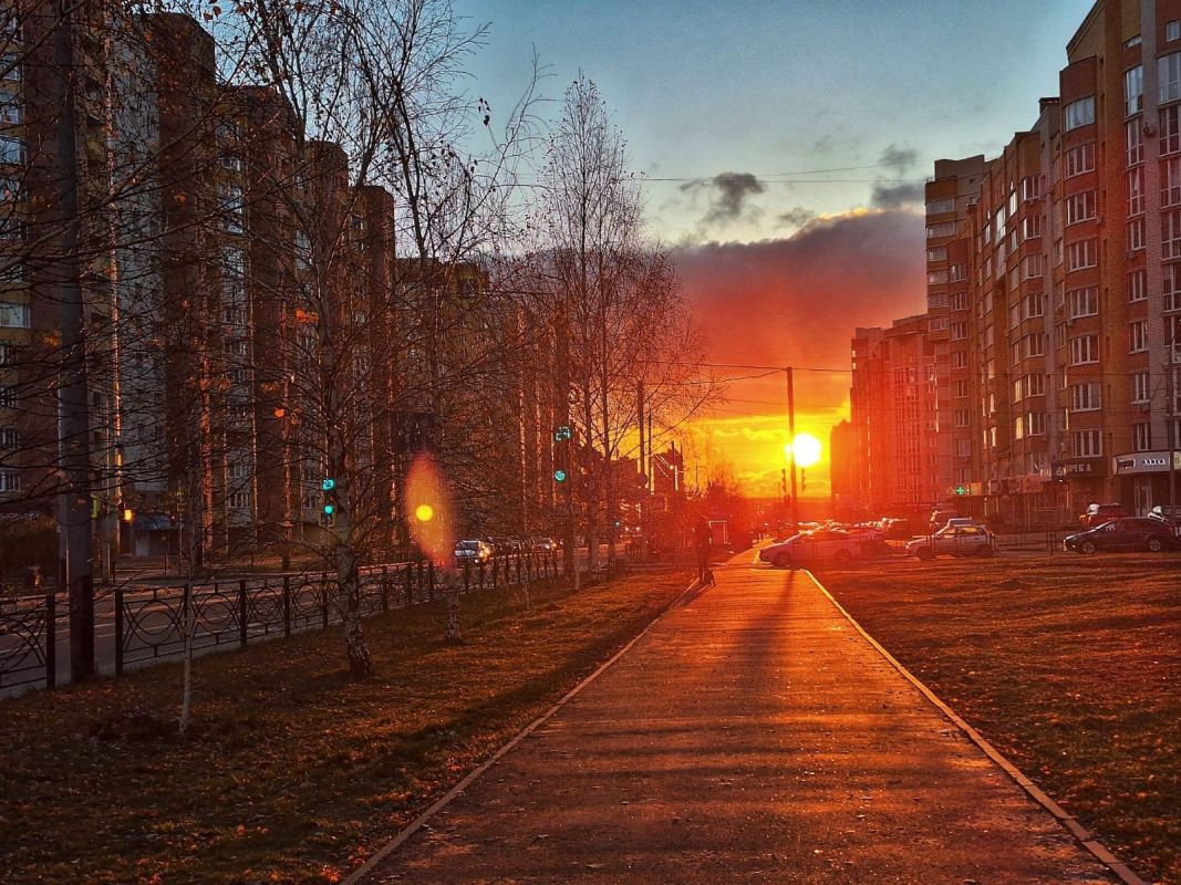 В День защиты белок в Тамбове ожидается снег с дождём