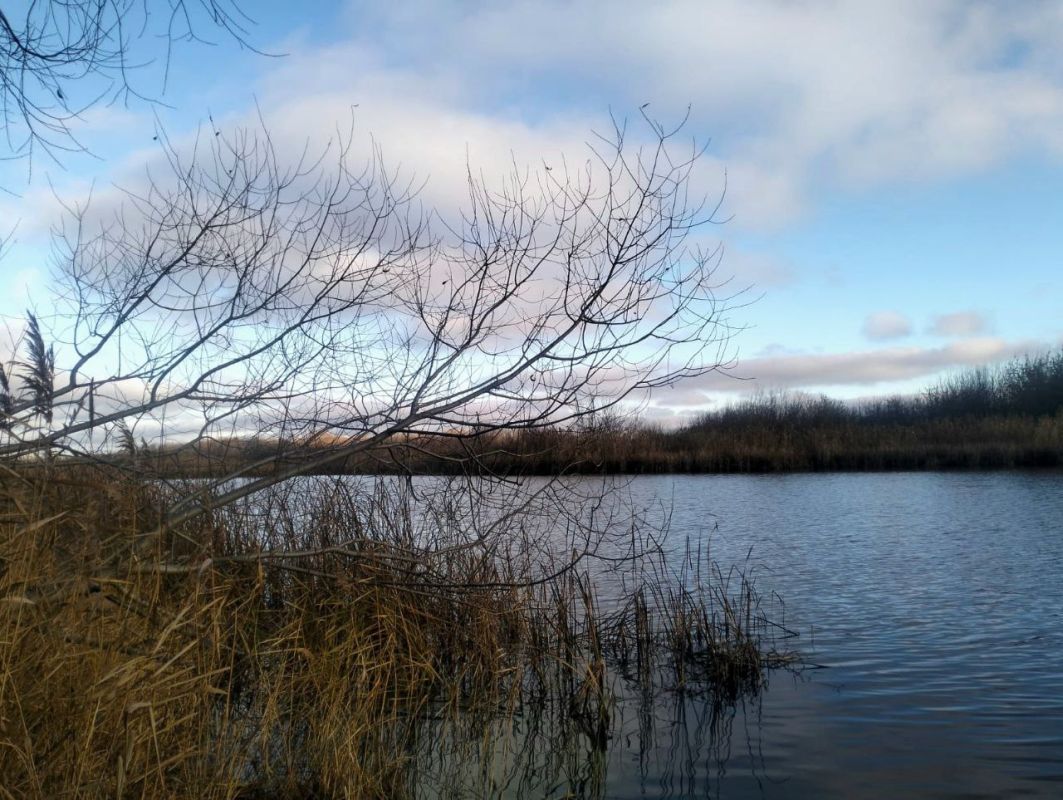 50-летний рыбак утонул в Мучкапском округе