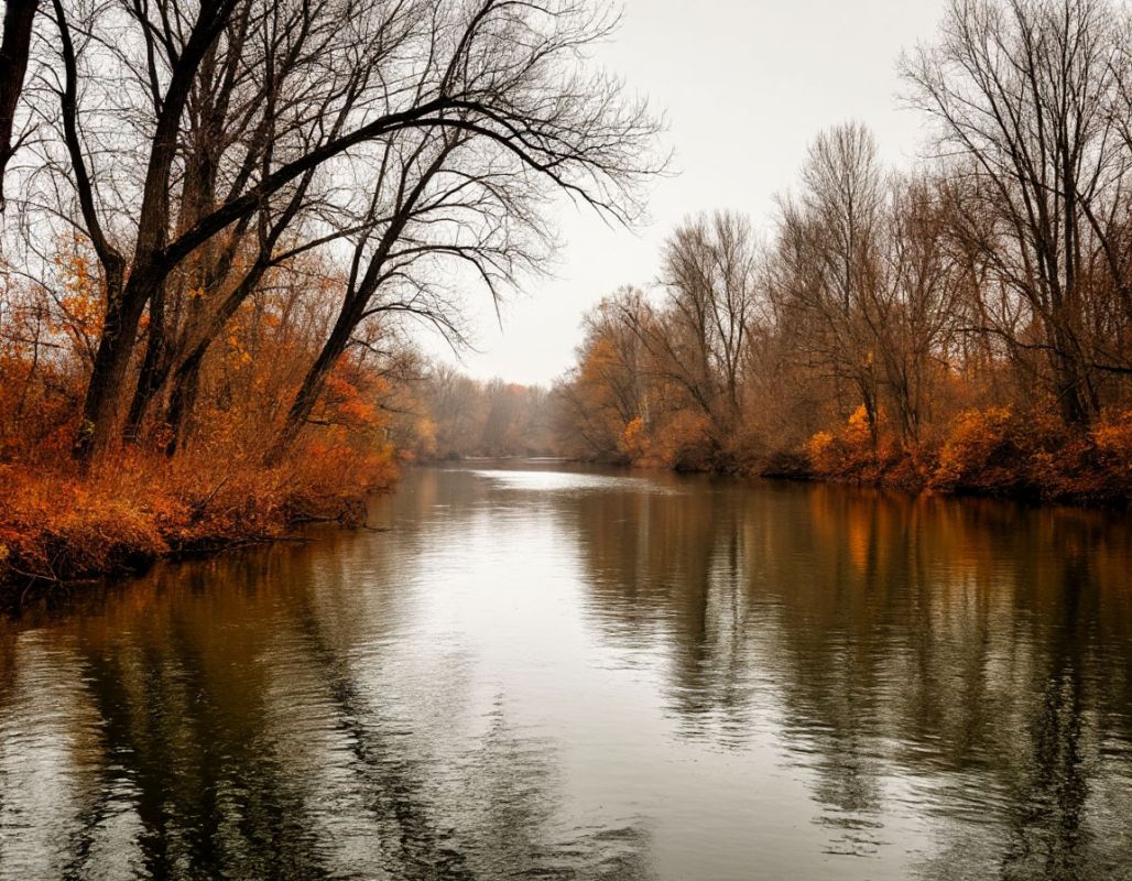 Тело женщины вытащили воронежцы из реки