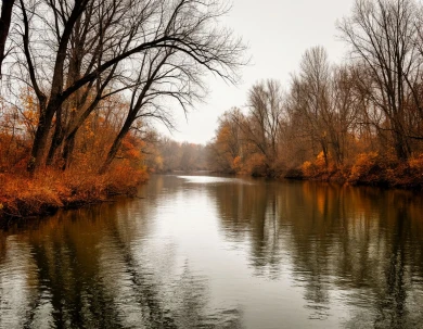 Тело женщины вытащили воронежцы из реки