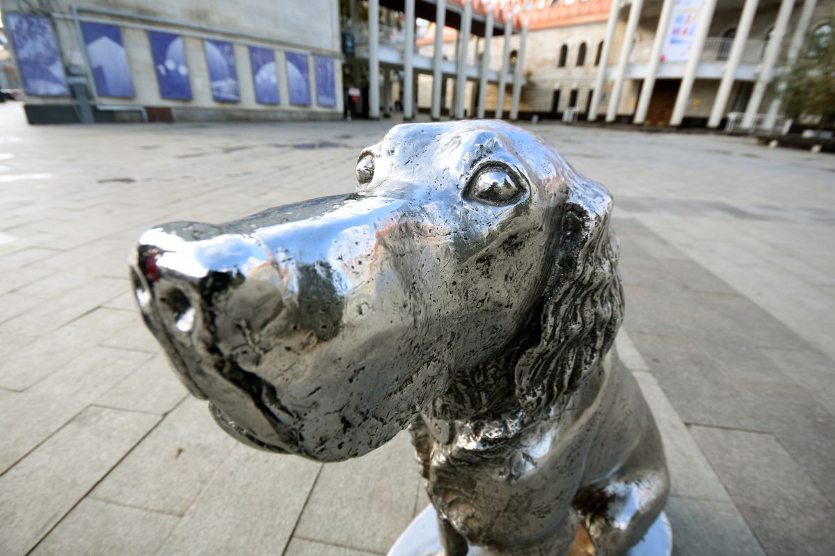 Как Троепольский оценил памятник герою его повести Биму в Воронеже