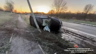 В Белгородской области перевернулись на трассе три автомобиля