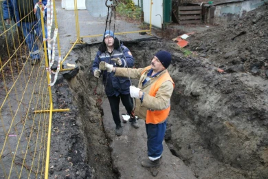 В Курске спасли котят, обнаруженных в раскопе глубоко под теплотрассой