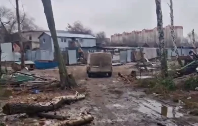 Псы могут сбежать. Разбирают забор собачьего приюта в Воронеже