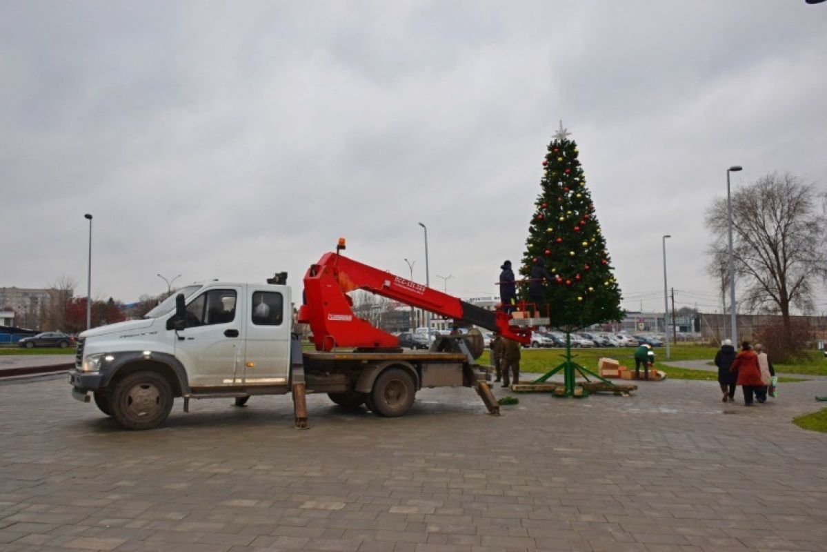 Первые новогодние ёлки появились в Тамбовской области