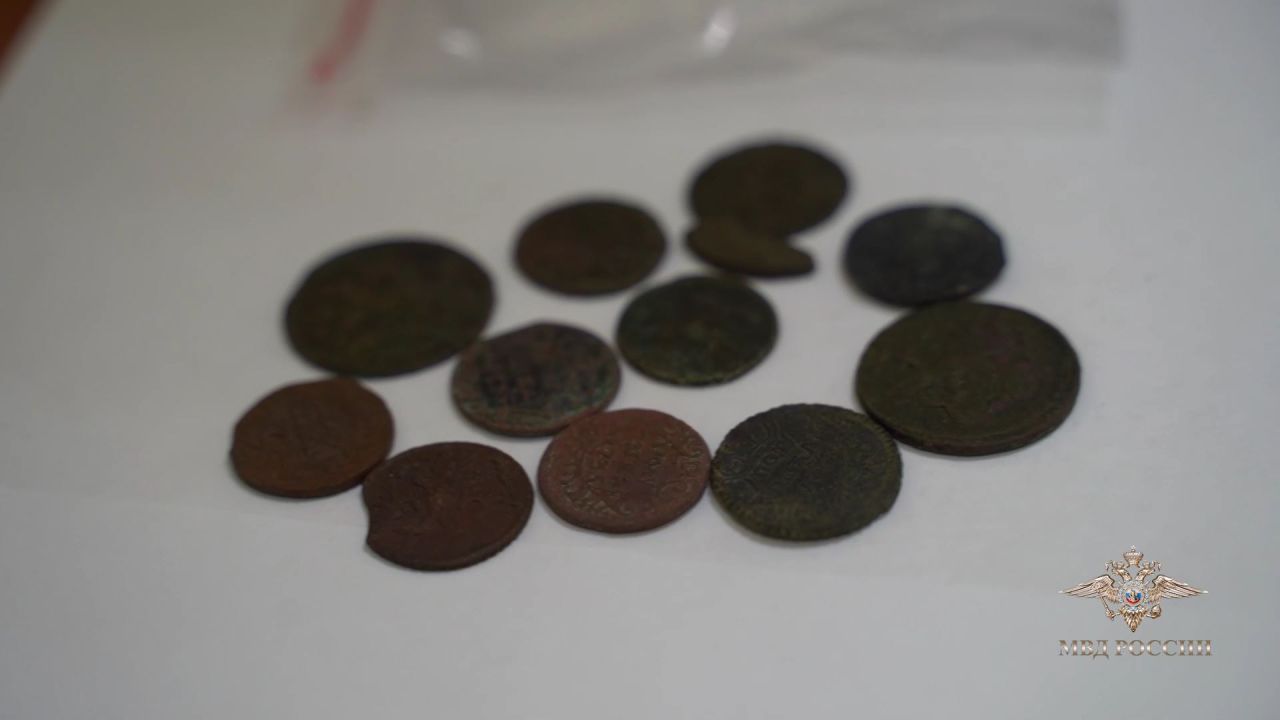 Черные копатели предстанут перед судом в Липецкой области за раскопки на памятнике XVII века