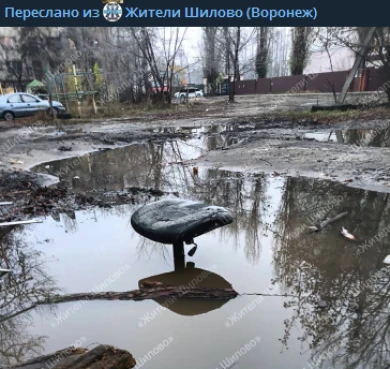 Необъяснимый «артефакт» в луже озадачил воронежцев 