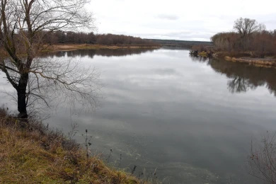 Прогноз погоды в Воронеже на пятницу, 21 ноября