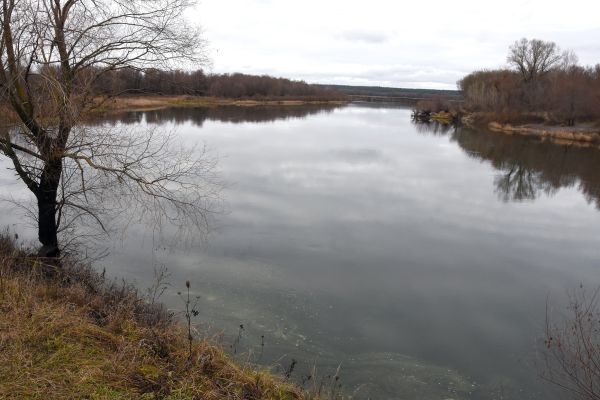 Прогноз погоды в Воронеже на пятницу, 21 ноября
