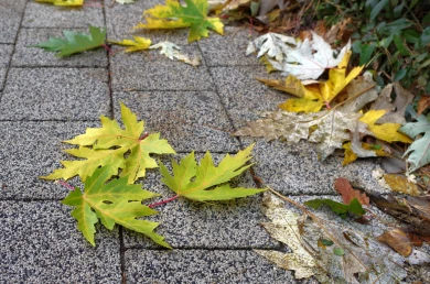Прогноз погоды в Воронеже на понедельник, 24 ноября