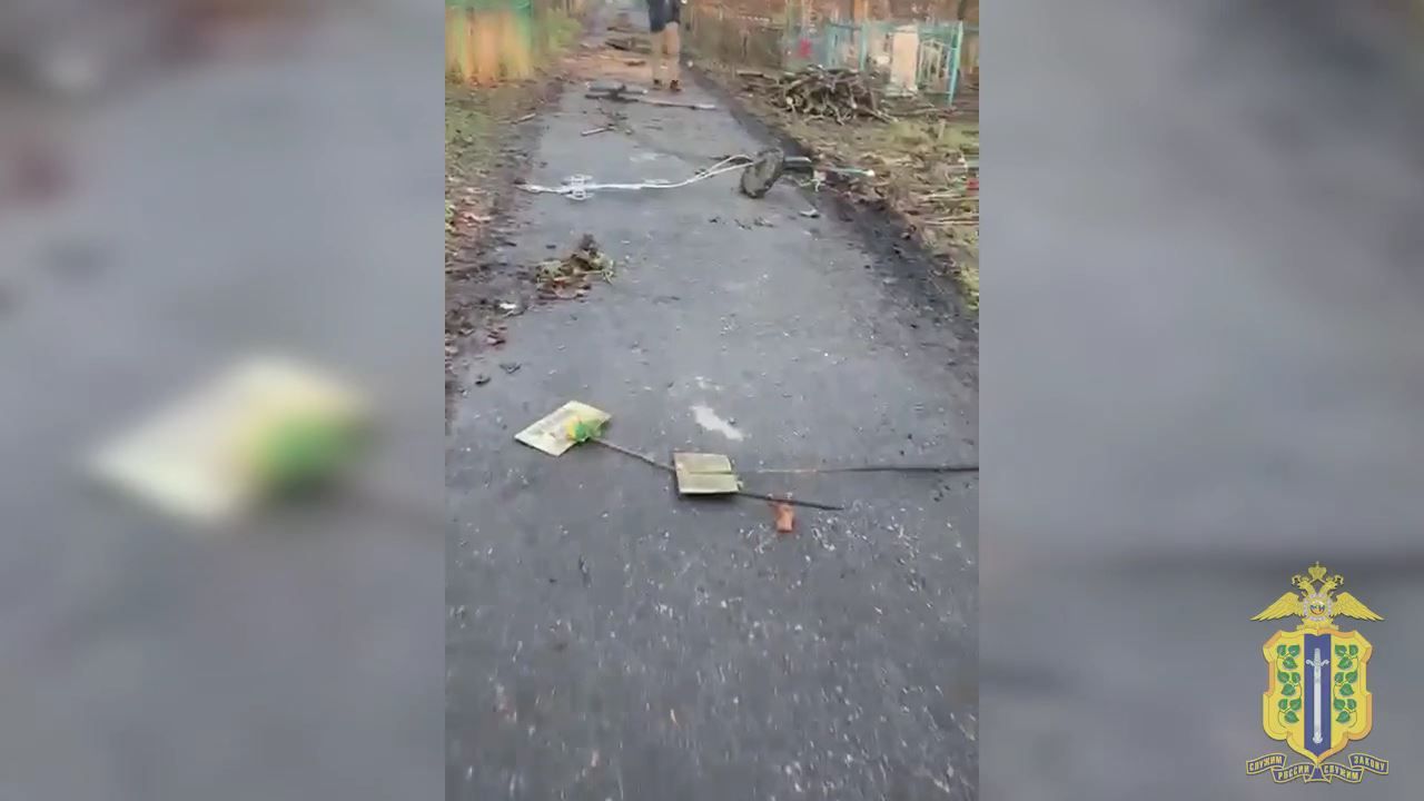 В Ельце вандал вырывал кресты на кладбище и бросал на дорогу