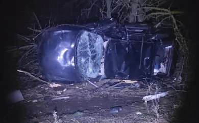 Москвичка разбилась в ДТП на воронежской трассе