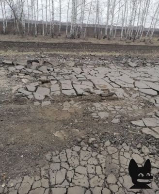 На дорогу в Мучкапском округе обратила внимание Ксения Собчак