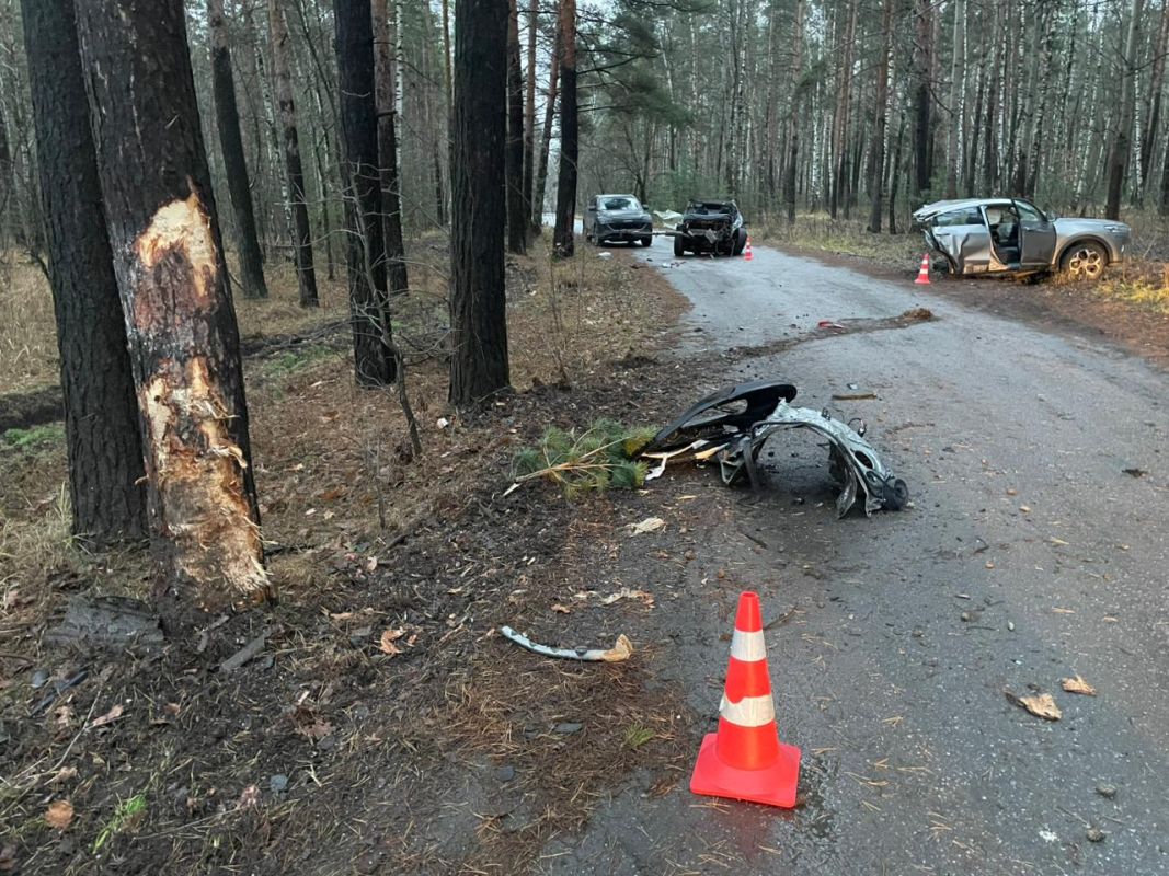 На дорогах Липецкой области прошла трагическая серия аварий