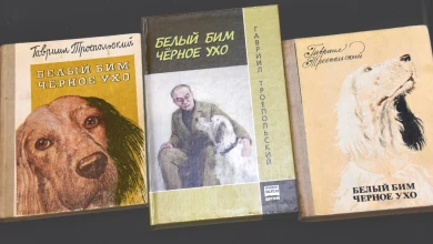 Как «Белого Бима...» и его автора вспоминали в Воронеже