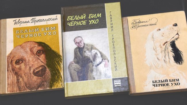 Как «Белого Бима...» и его автора вспоминали в Воронеже