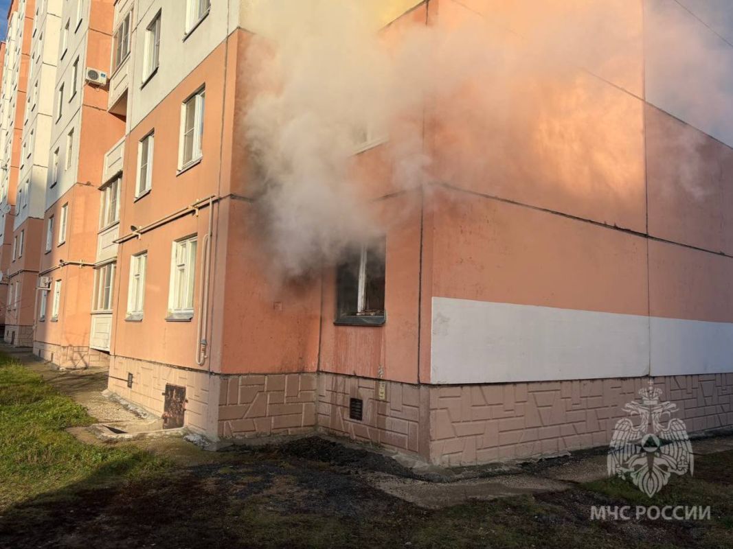 В многоквартирном доме Липецка в огне погибли животные