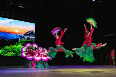 В Воронеже в 25-й раз прошёл фестиваль песни и танца народов мира 