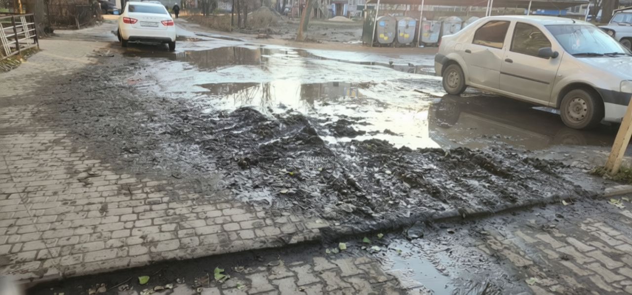 «Помойка, переходящая в болото»: горожане требуют убрать лужу в центре Липецка