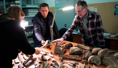 Мамонты и дикие лошади: раскрыта тайна древних костей, найденных под Белгородом