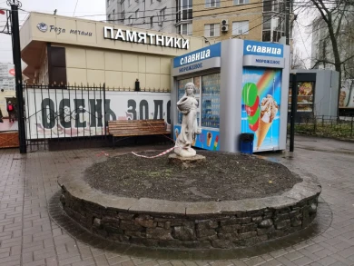 Выяснилось, что находилось в рюкзаке, перепугавшем воронежцев