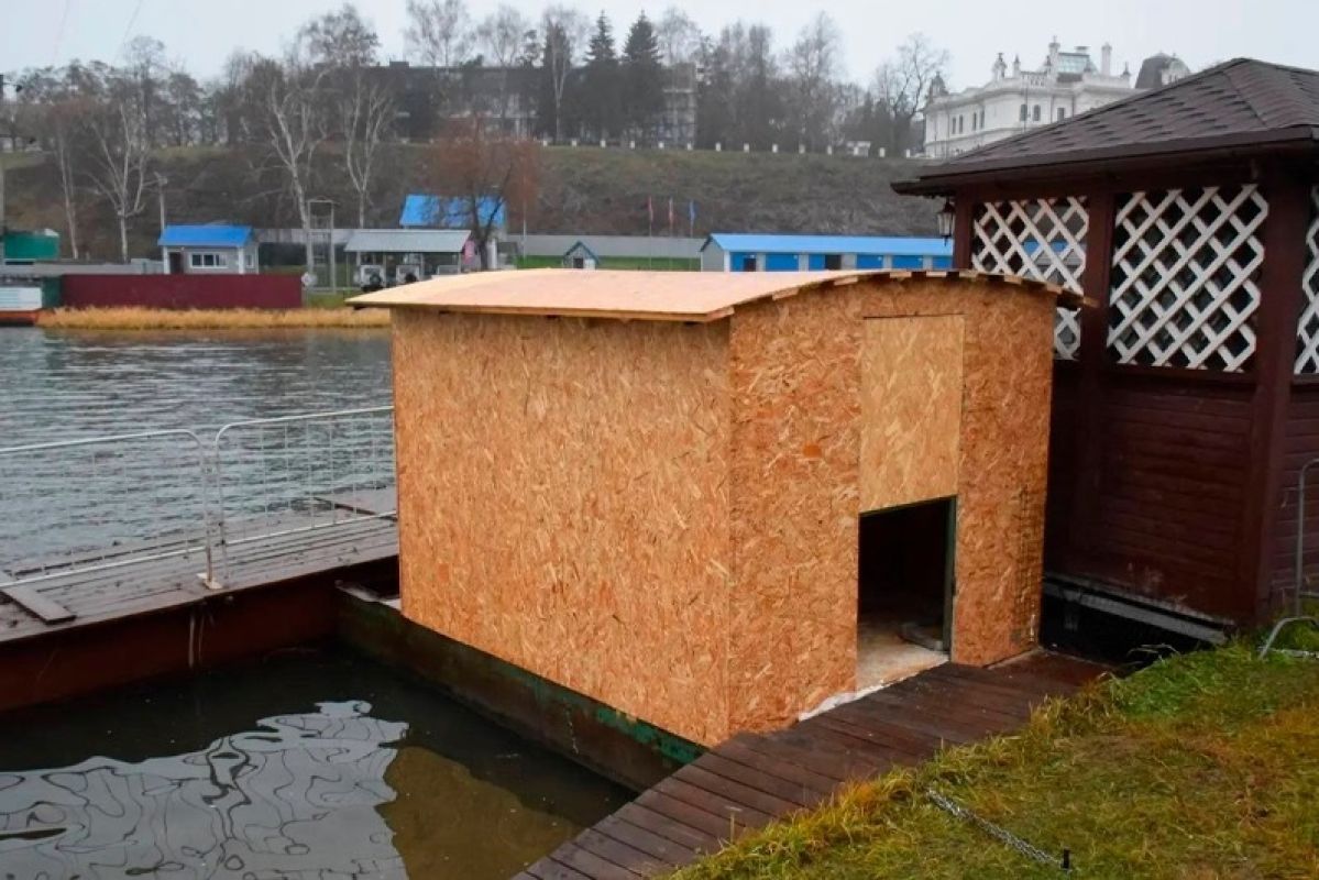 Два весёлых гуся: домик для пернатых построили на набережной в Тамбове