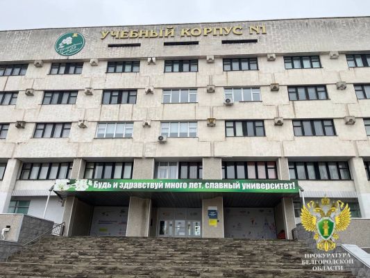 Преподаватель белгородского вуза осуждена за написание дипломов на заказ