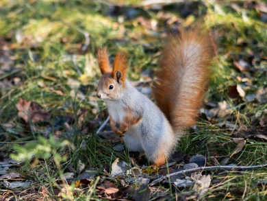 Воронежцы, утепляйтесь! Прогноз погоды в городе на субботу, 29 ноября