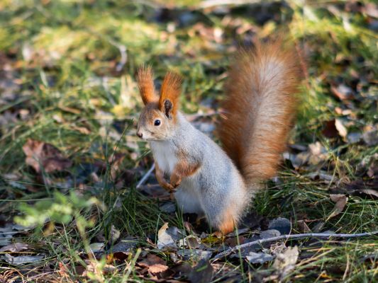 Воронежцы, утепляйтесь! Прогноз погоды в городе на субботу, 29 ноября