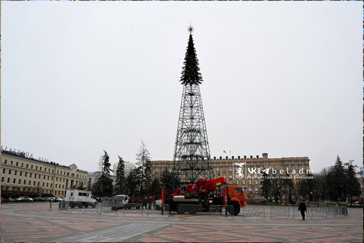 В Белгороде новогоднюю иллюминацию подключат к резервным источникам питания