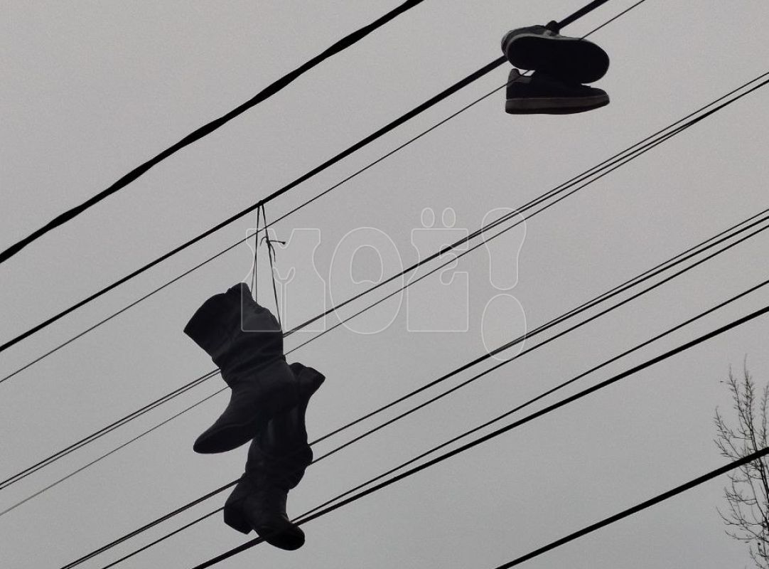 Две пары обуви в&nbsp;необычном месте обеспокоили воронежца