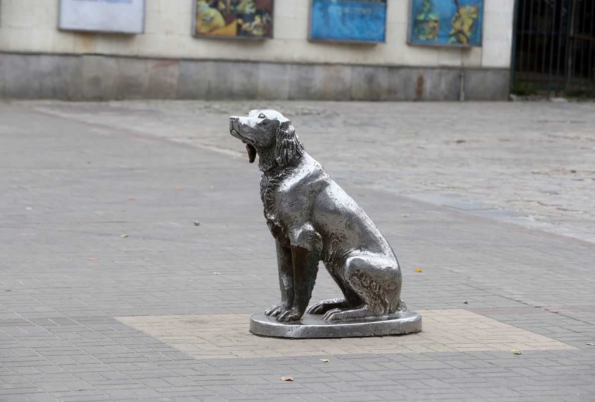 Ночная атака БПЛА и&nbsp;избиение фигуристки. Главные новости Воронежа и&nbsp;области за&nbsp;29 ноября