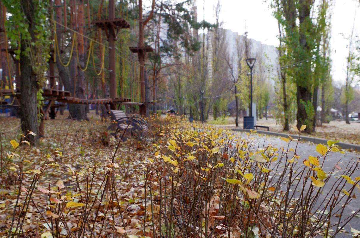 Прогноз погоды в&nbsp;Воронеже на&nbsp;воскресенье, 30 ноября