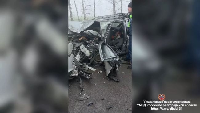 Опасный обгон на трассе под Белгородом превратил авто в груду металла