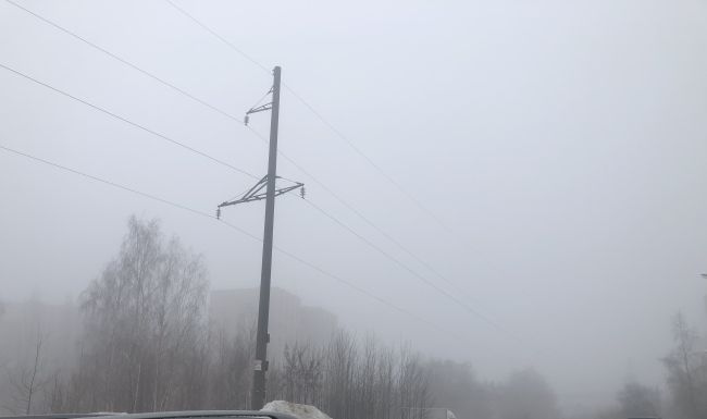 Два опасных погодных явления нагрянут в Воронеж