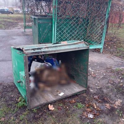В белгородском Губкине на мусорке нашли труп