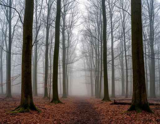 Шестеро пропавших без вести найдены погибшими в Воронежской области