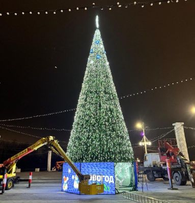 Новогоднюю ёлку впервые установили на Адмиралтейской площади в Воронеже 