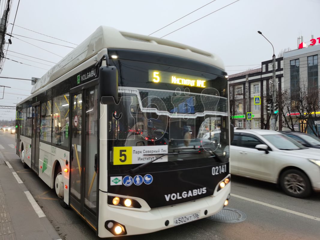 Новые автобусы вышли на популярный маршрут в Воронеже