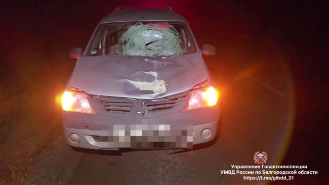 На белгородской трассе пенсионер пробил собой лобовой стекло иномарки и скончался