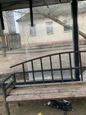 В Белгороде начали разбивать остановки, на которые потратили 355 млн рублей