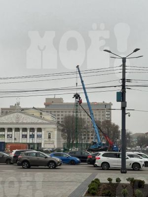 Главную новогоднюю ель начали устанавливать в Воронеже 
