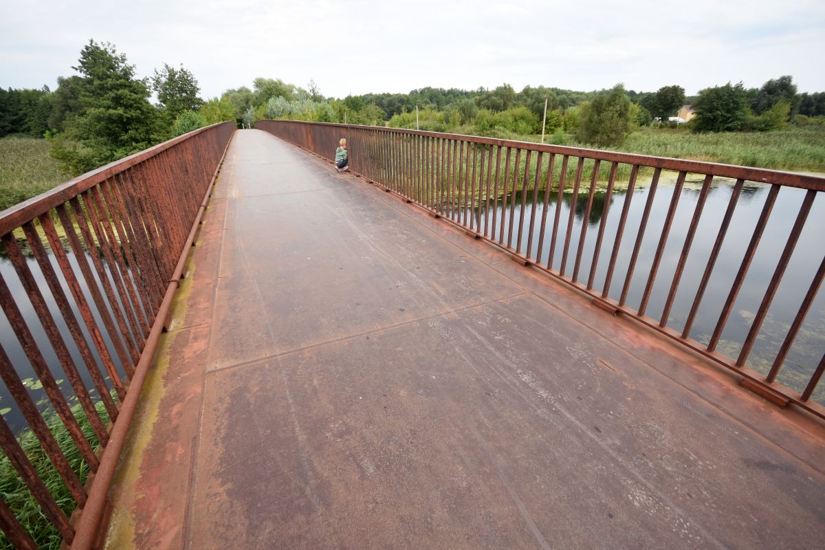 Заставочное фото