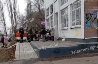 Котокафе загорелось в Воронеже. Уцелели ли питомцы? 