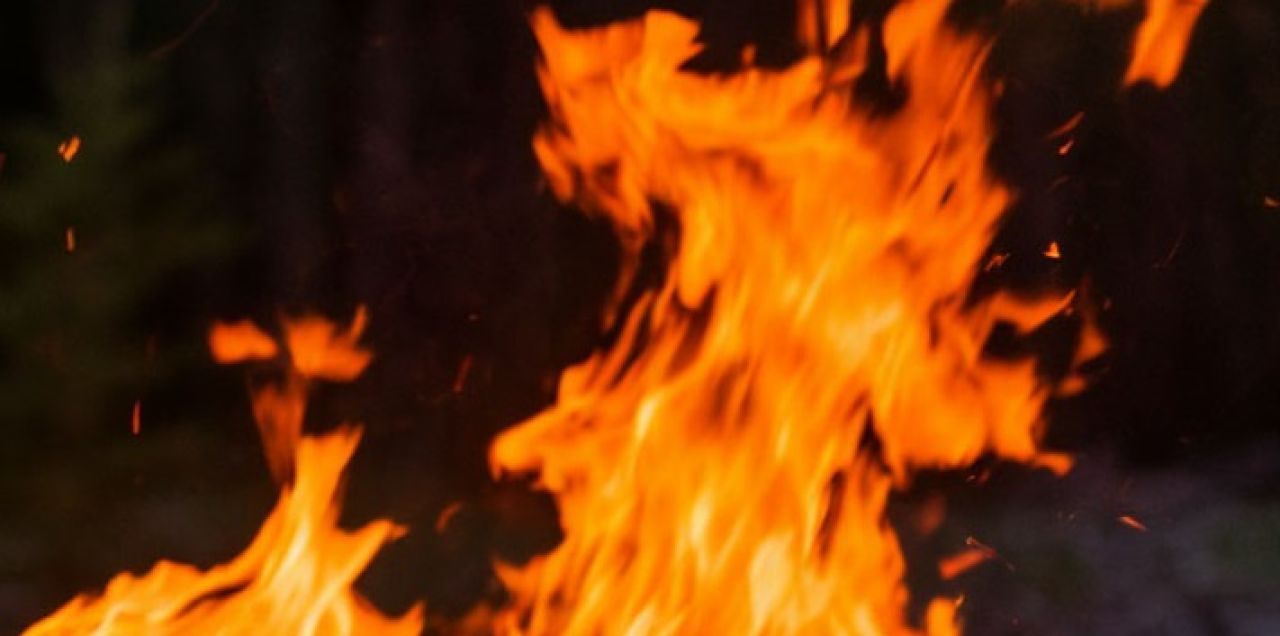 Труп у остановки и пожар в котокафе. Главные новости Воронежа и области за 5 декабря