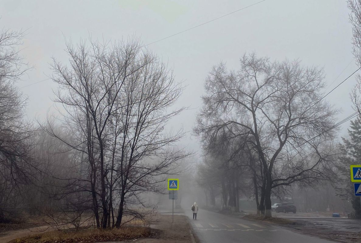 Квартира ужасов и сбитый на «зебре» пешеход. Главные новости Воронежа и области за 6 декабря