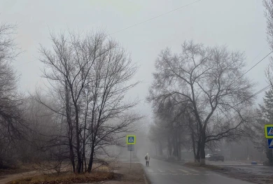 Квартира ужасов и сбитый на зебре пешеход. Главные новости Воронежа и области за 6 декабря